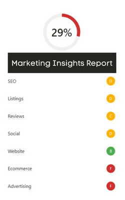 Marketing Insights Report Snapshot